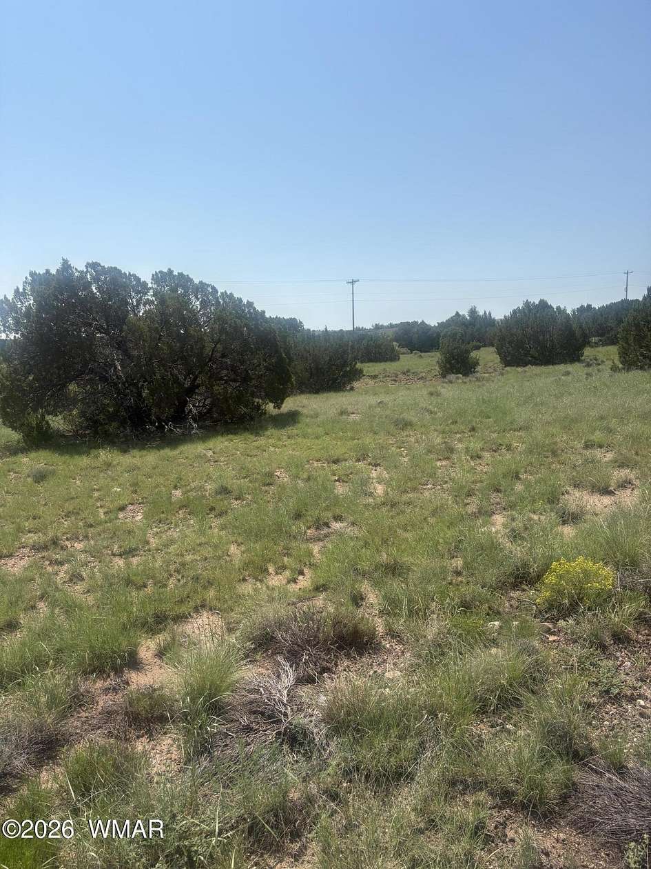 1.48 Acres of Mixed-Use Land for Sale in Concho, Arizona