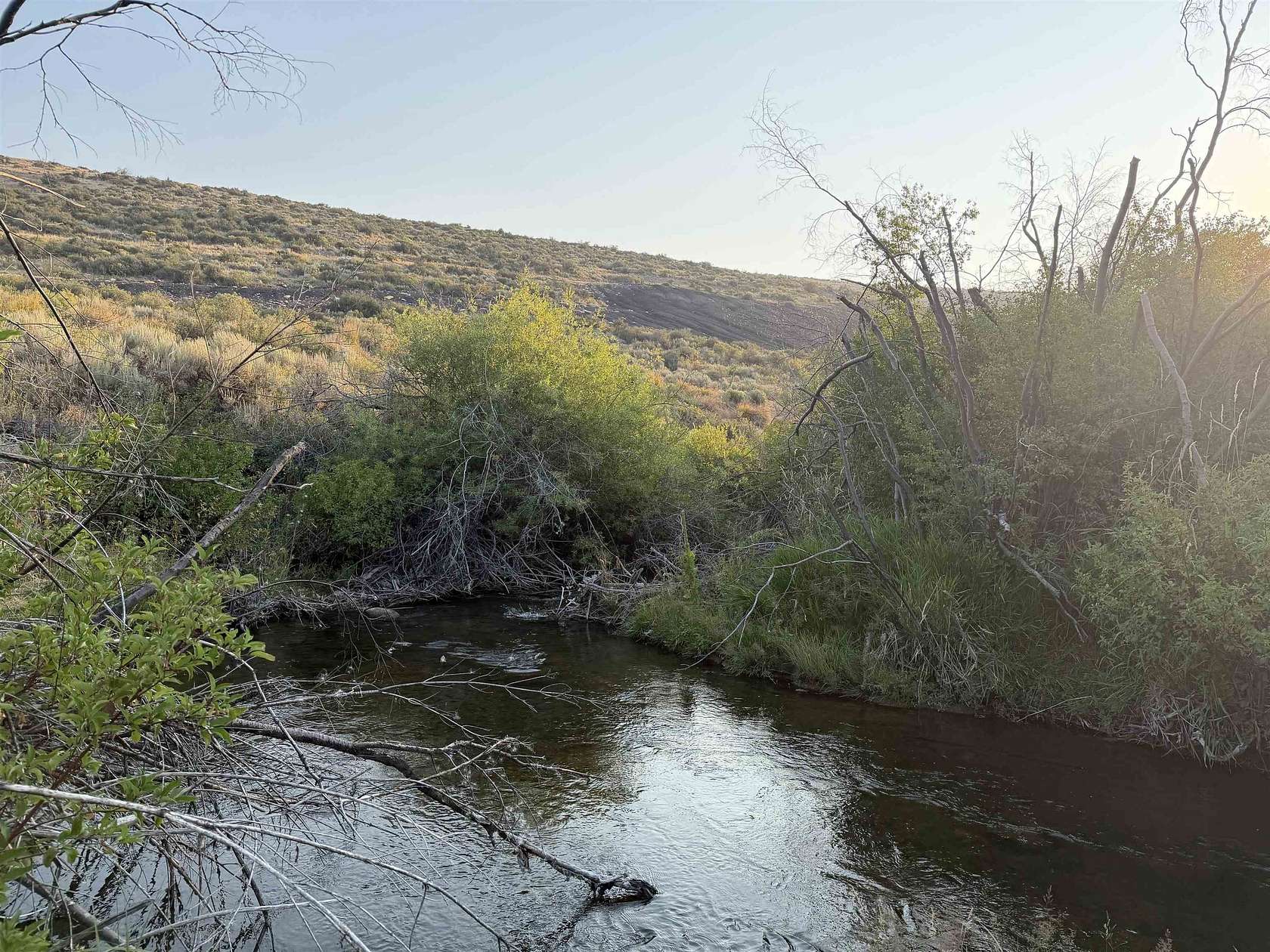 10.7 Acres of Recreational & Residential Land for Sale in Bloomington, Idaho