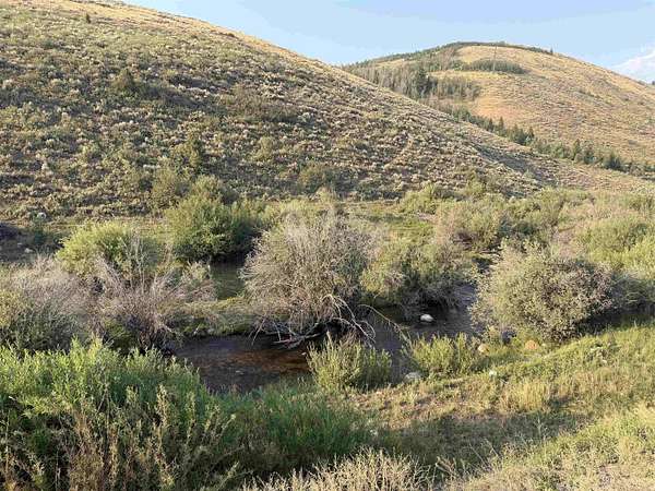 19.8 Acres of Recreational & Residential Land for Sale in Bloomington, Idaho