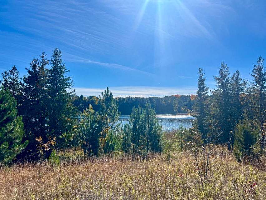 0.3 Acres of Residential Land for Sale in Atlanta, Michigan
