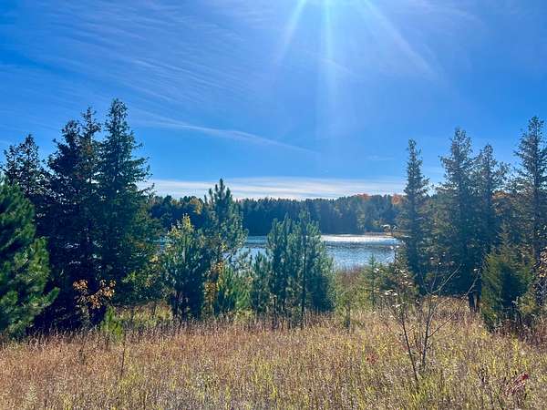 0.3 Acres of Residential Land for Sale in Atlanta, Michigan
