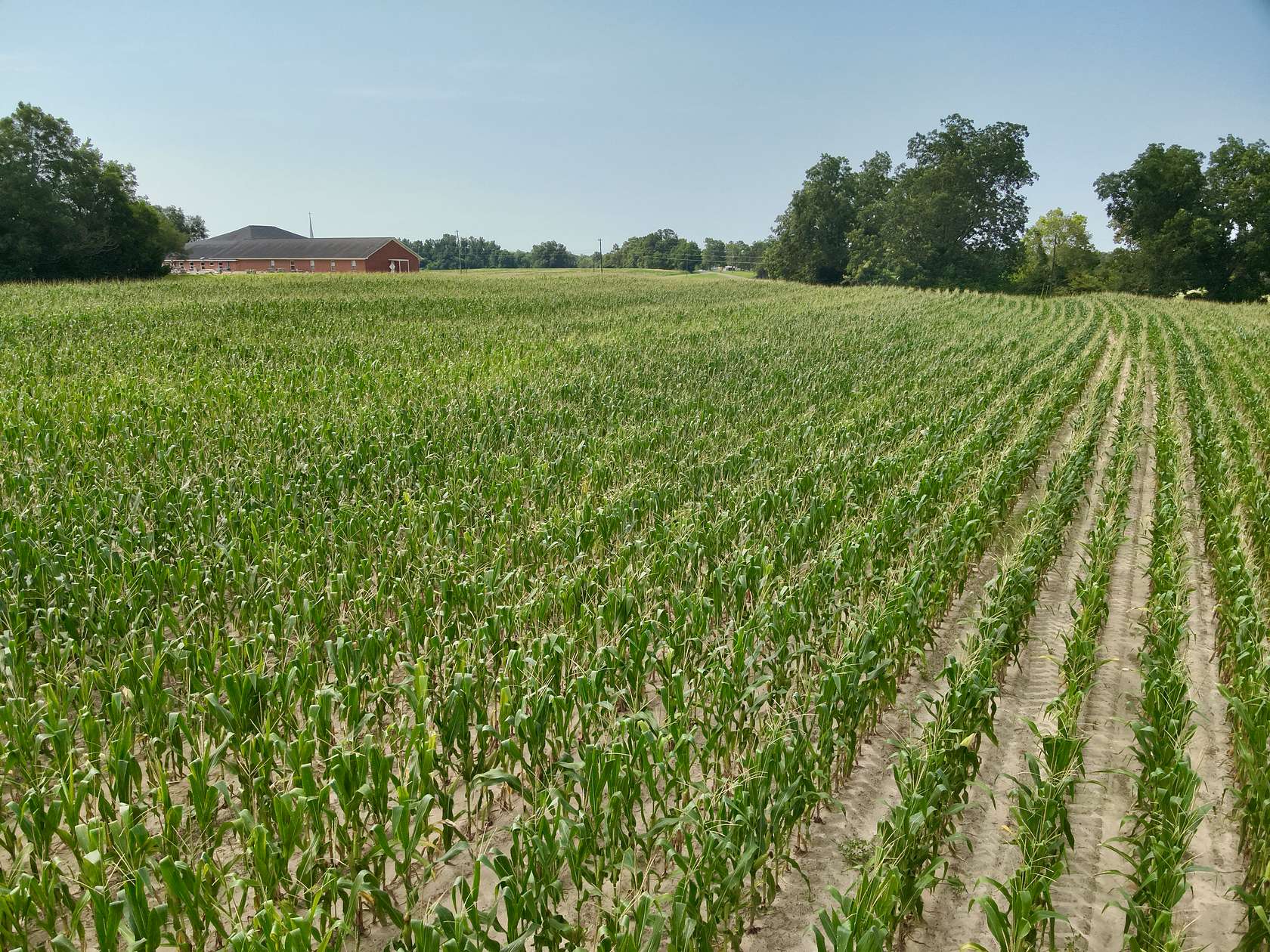 3.5 Acres of Agricultural Land for Sale in Pansey, Alabama