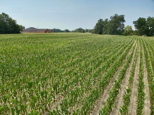 3.5 Acres of Agricultural Land for Sale in Pansey, Alabama