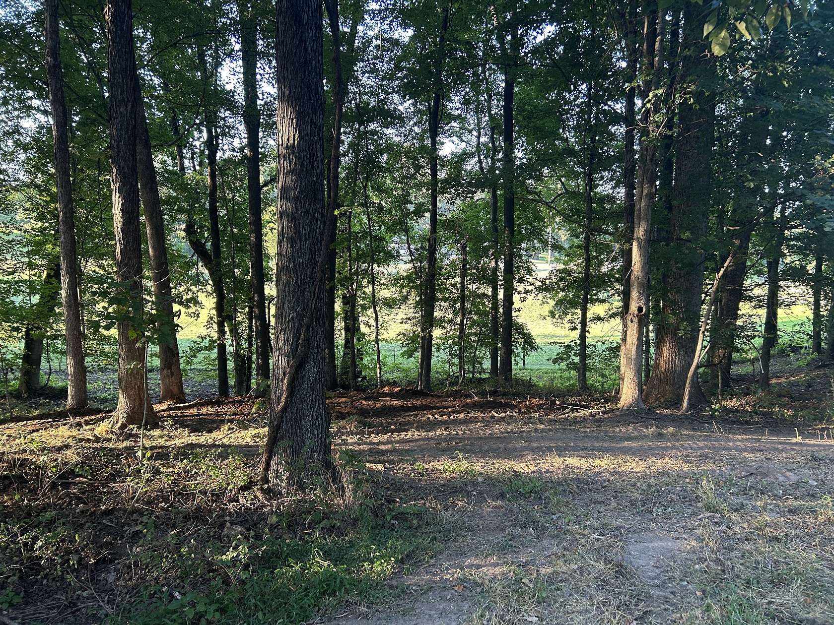 1.28 Acres of Residential Land for Sale in Vanleer, Tennessee