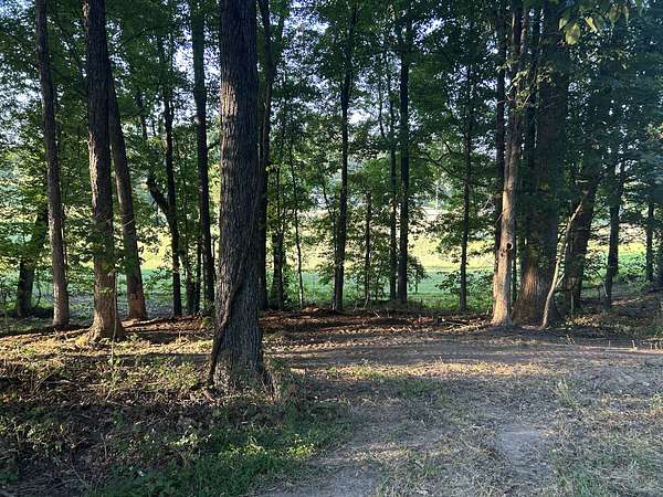 1.28 Acres of Residential Land for Sale in Vanleer, Tennessee