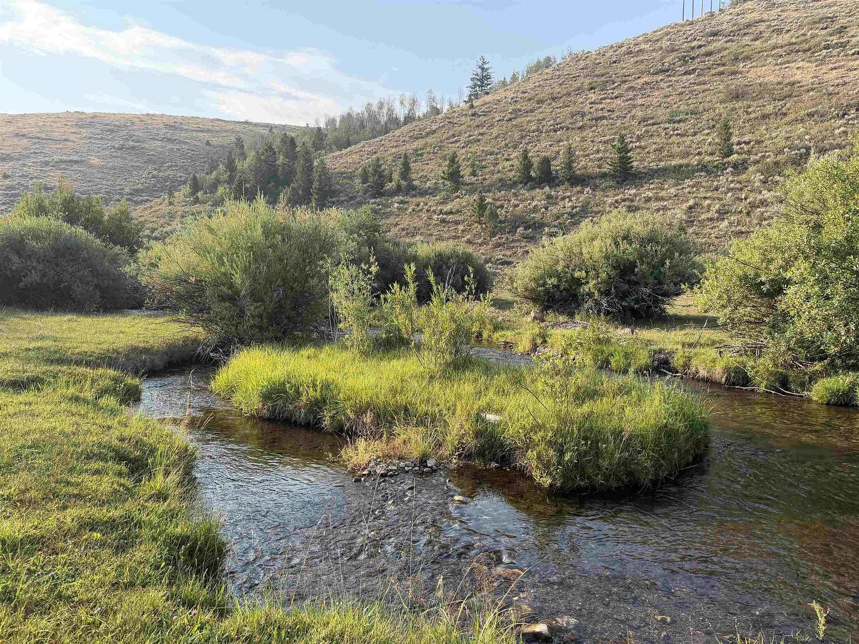 14.8 Acres of Recreational & Residential Land for Sale in Bloomington, Idaho