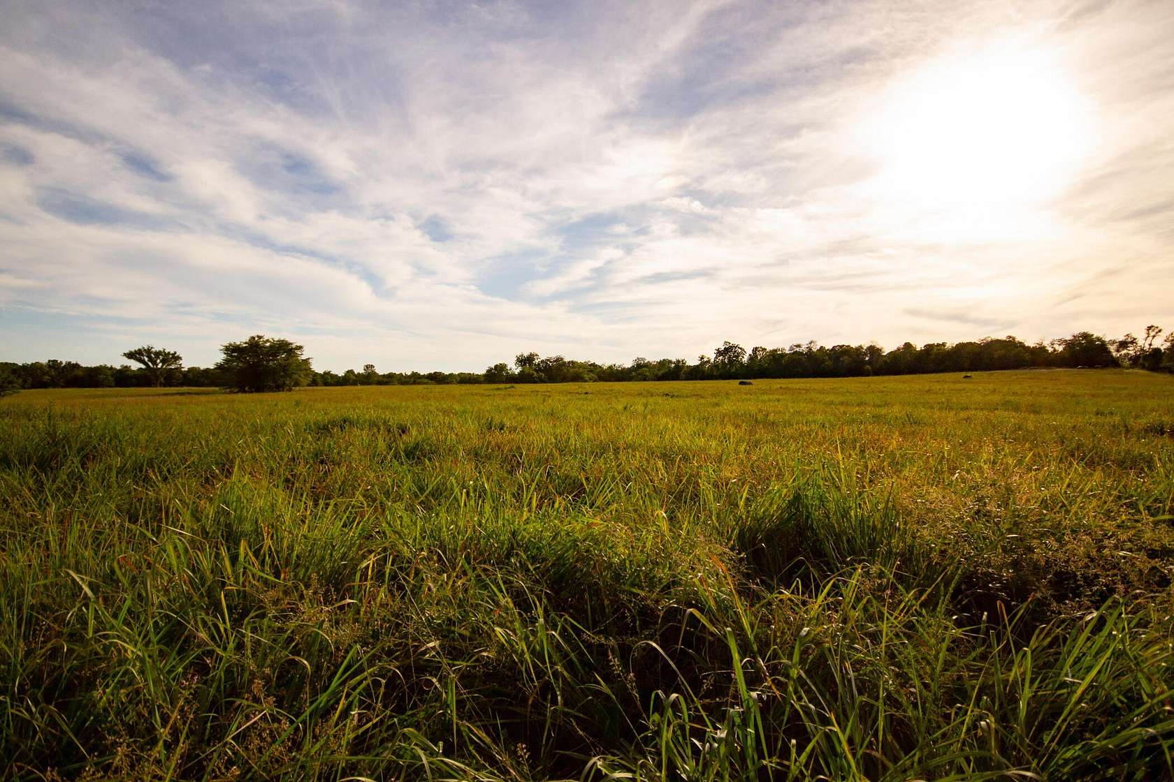 116 Acres of Recreational Land for Sale in Jerico Springs, Missouri