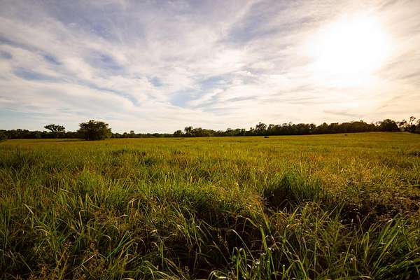116 Acres of Recreational Land for Sale in Jerico Springs, Missouri