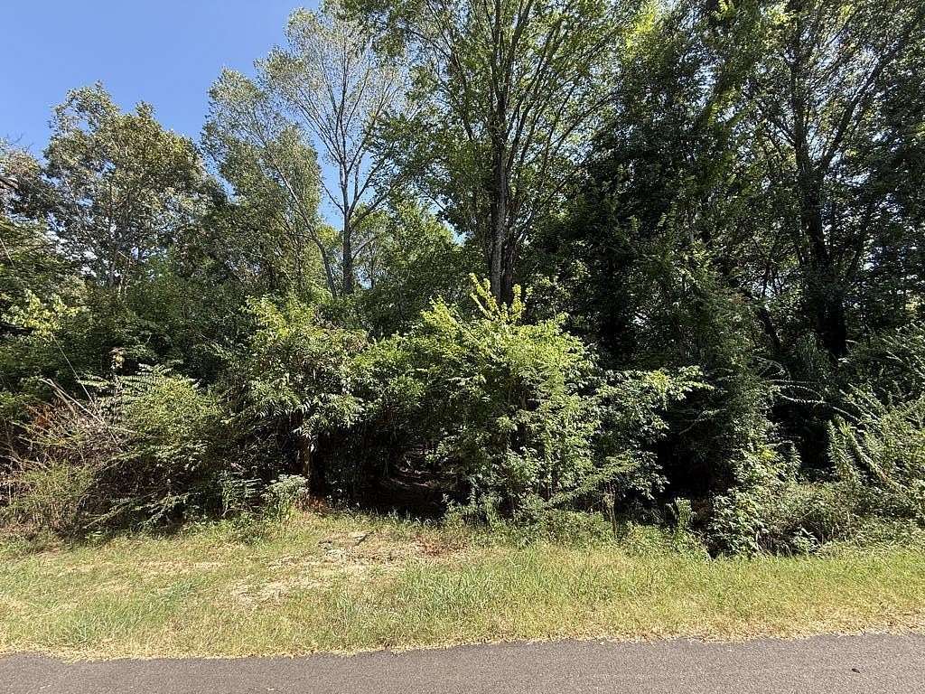 0.5 Acres of Residential Land for Sale in Palestine, Texas