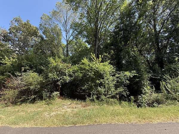 0.5 Acres of Residential Land for Sale in Palestine, Texas