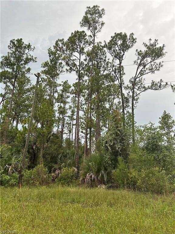 0.38 Acres of Residential Land for Sale in Lehigh Acres, Florida