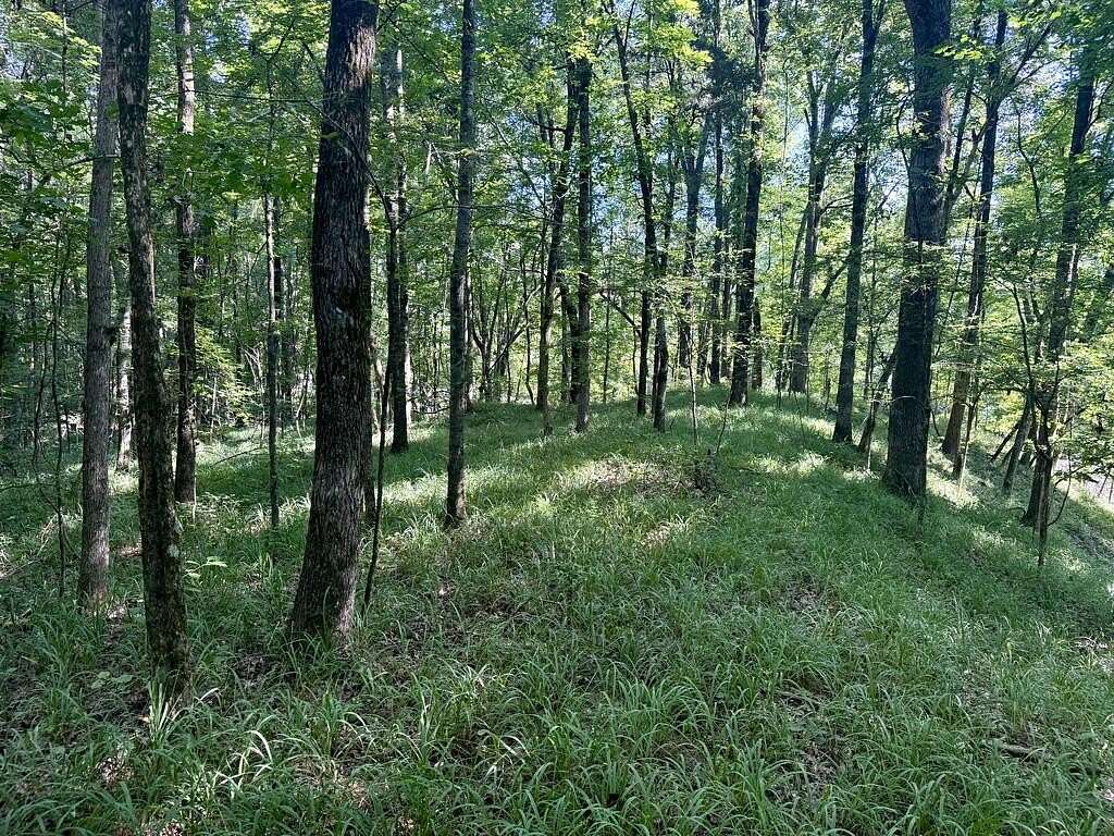 37 Acres of Recreational Land for Sale in Grenada, Mississippi