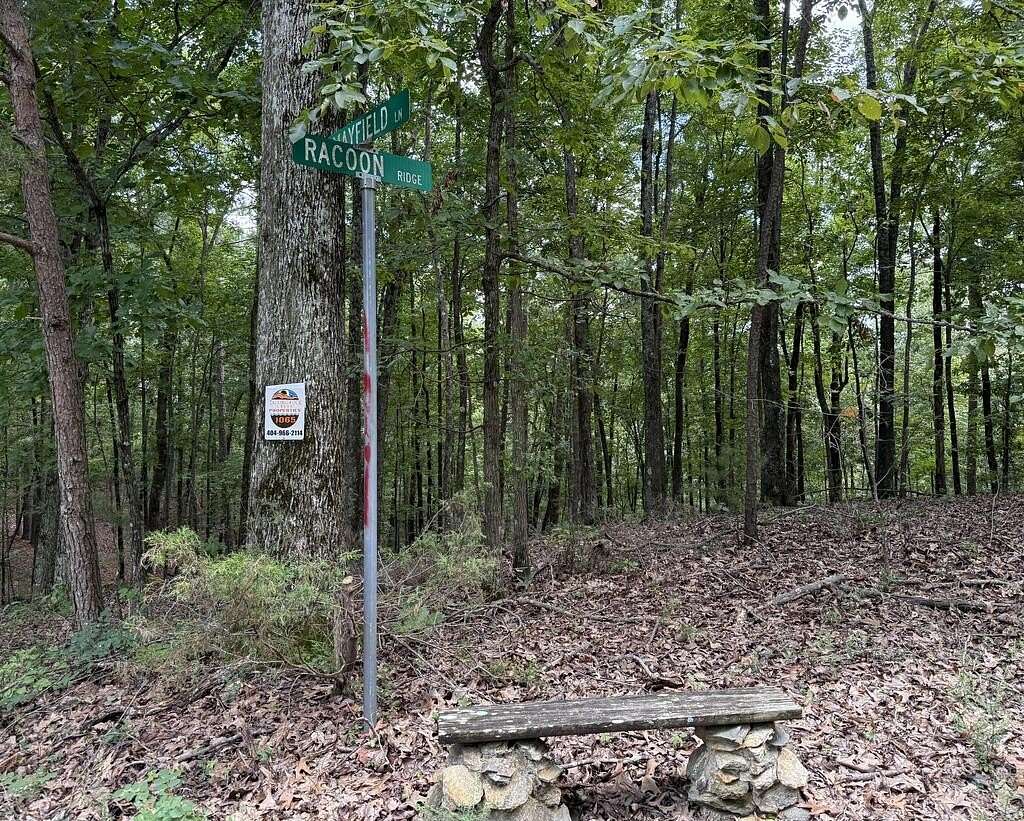1.38 Acres of Residential Land for Sale in Ranger, Georgia