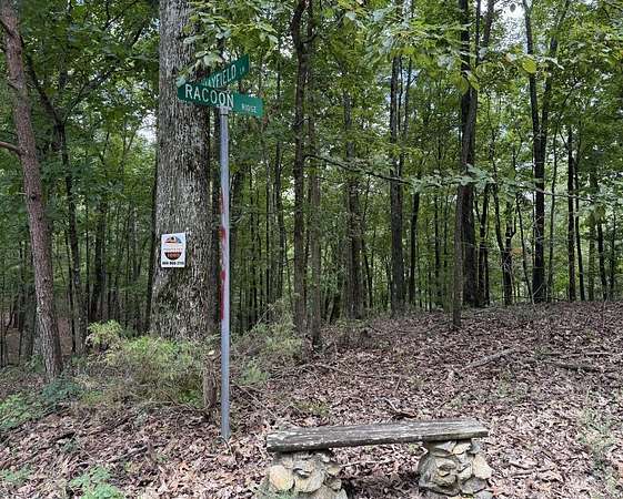 1.38 Acres of Residential Land for Sale in Ranger, Georgia