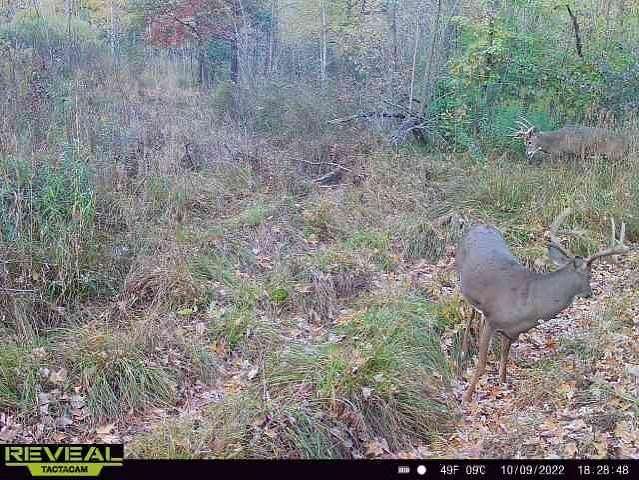 20 Acres of Recreational Land for Sale in Brook Park, Minnesota