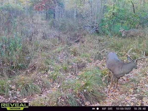 20 Acres of Recreational Land for Sale in Brook Park, Minnesota