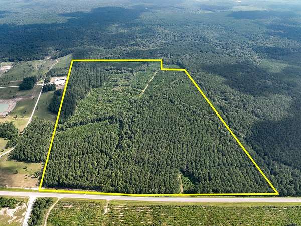 80 Acres of Recreational Land for Sale in Kountze, Texas