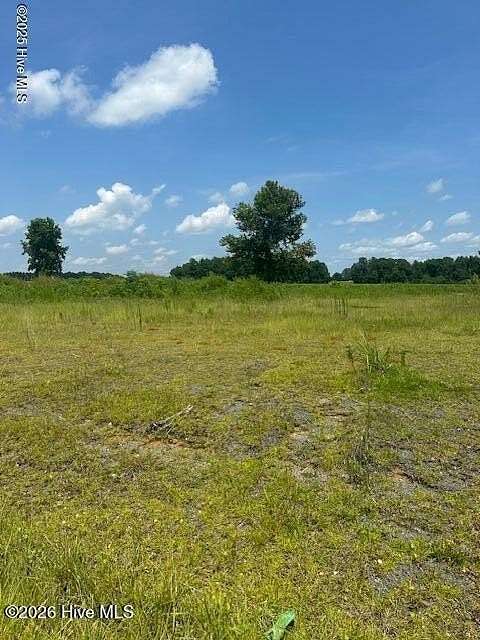 1 Acre of Residential Land for Sale in Clarendon, North Carolina