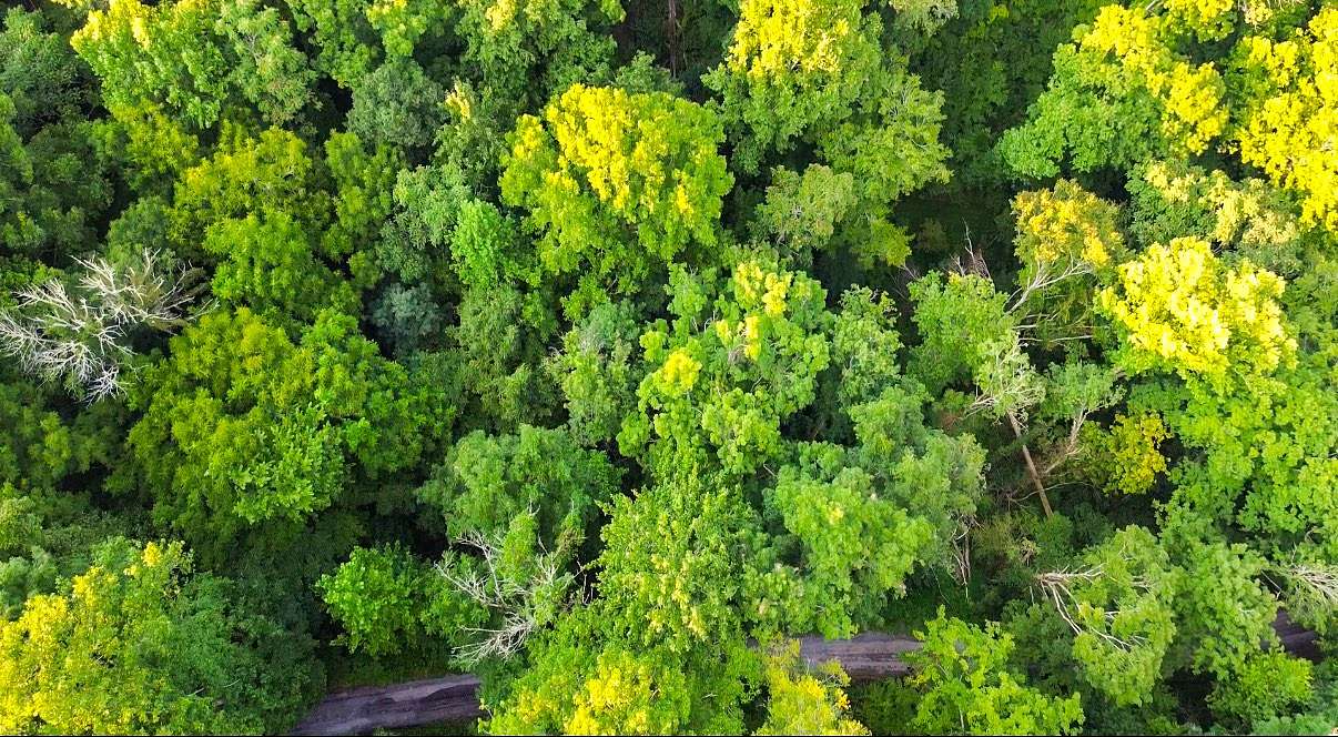 0.16 Acres of Residential Land for Sale in Smithville, Tennessee