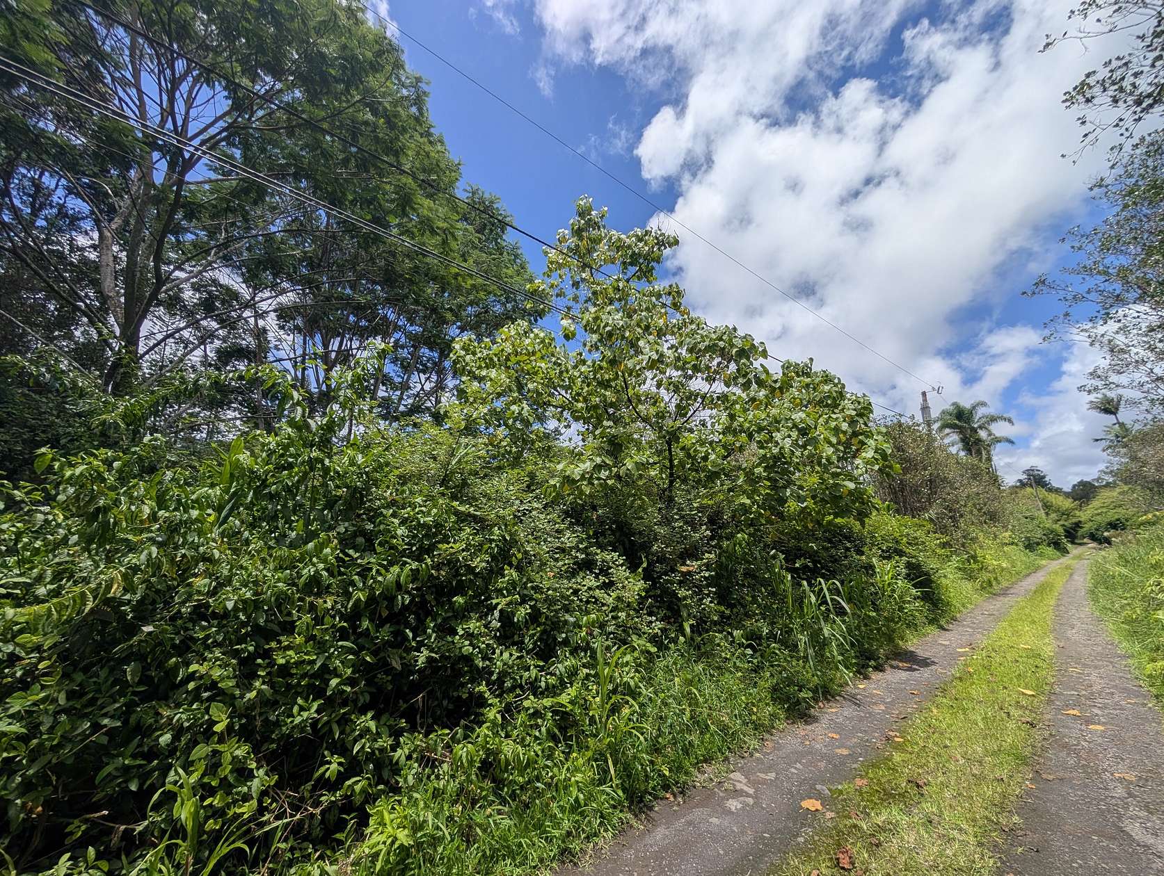0.28 Acres of Residential Land for Sale in Mountain View, Hawaii