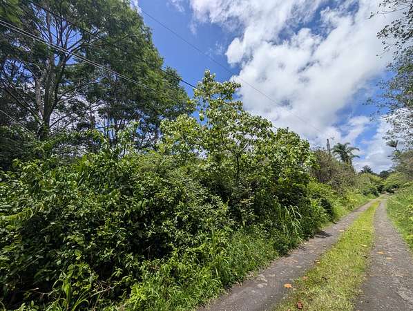 0.28 Acres of Residential Land for Sale in Mountain View, Hawaii