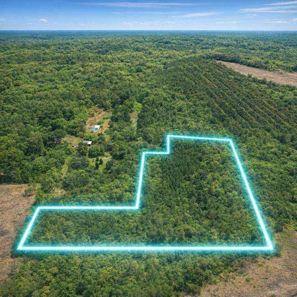12 Acres of Recreational & Residential Land for Sale in Call, Texas