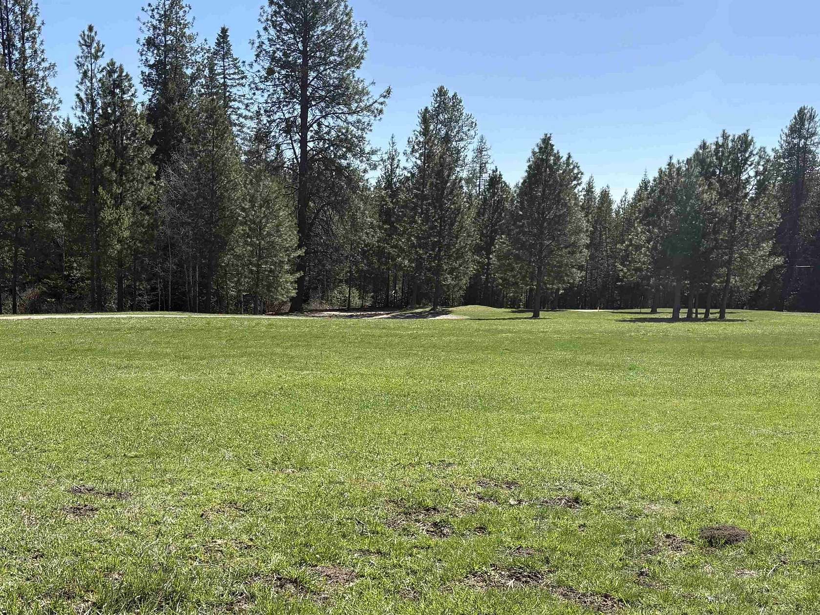 5 Acres of Agricultural Land for Sale in Elk, Washington