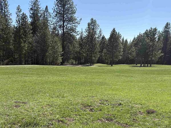 5 Acres of Agricultural Land for Sale in Elk, Washington