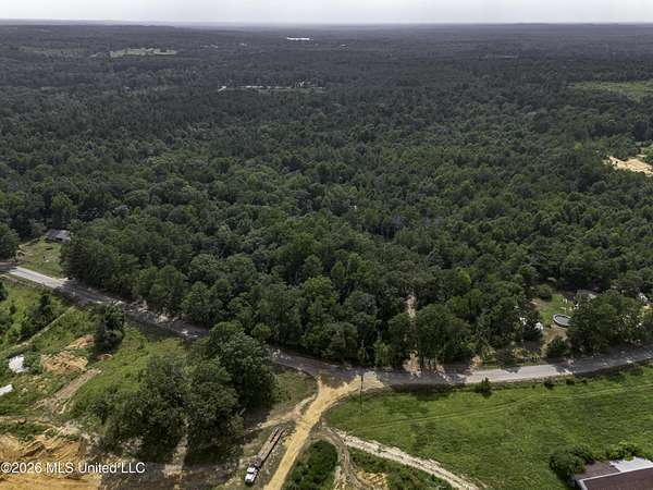 49 Acres of Recreational & Residential Land for Sale in Mendenhall, Mississippi