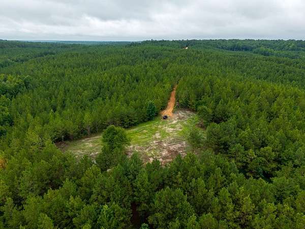 116 Acres of Recreational Land for Sale in Verbena, Alabama