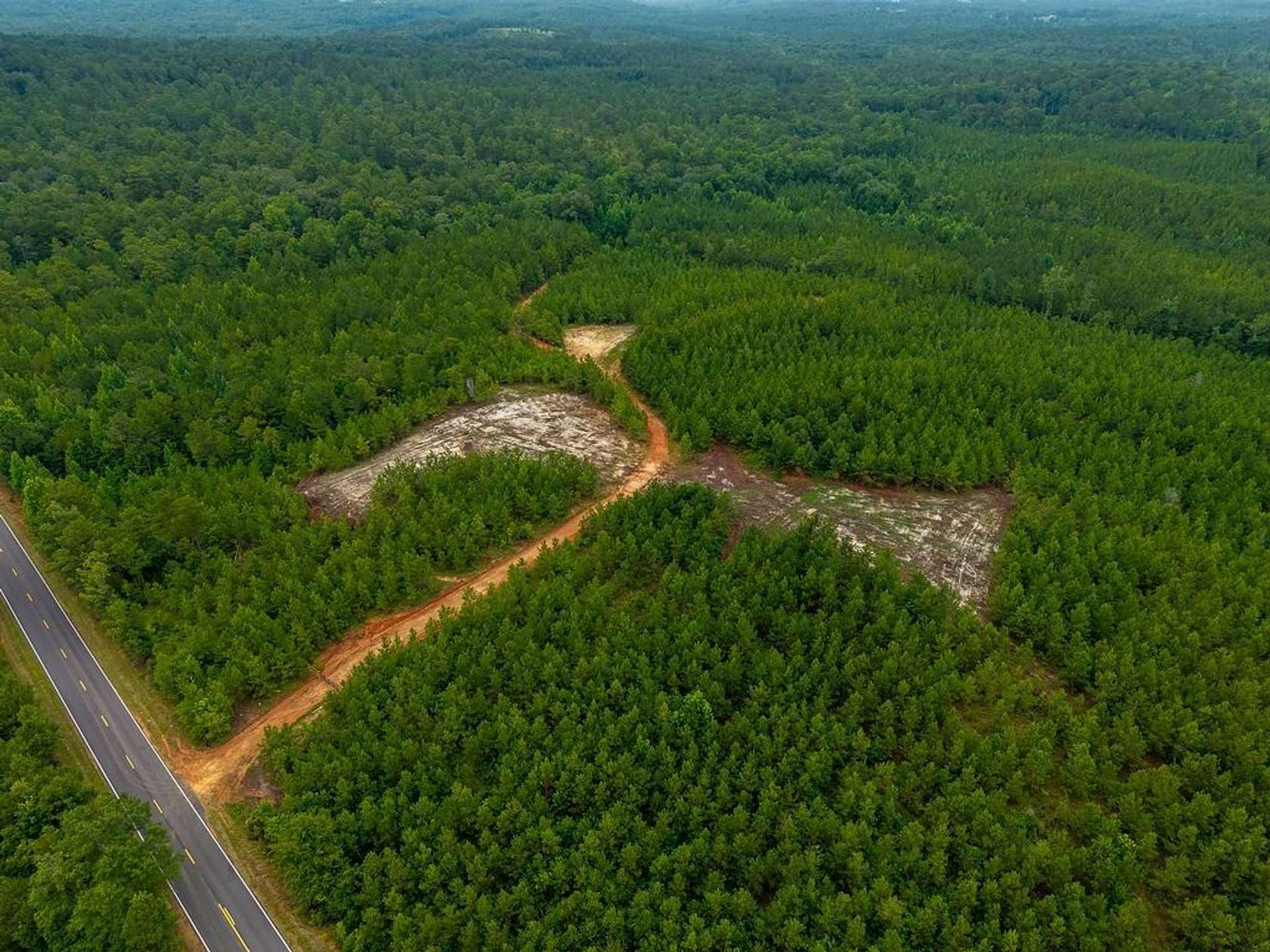 30 Acres of Recreational Land for Sale in Verbena, Alabama