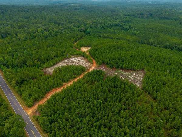 30 Acres of Recreational Land for Sale in Verbena, Alabama