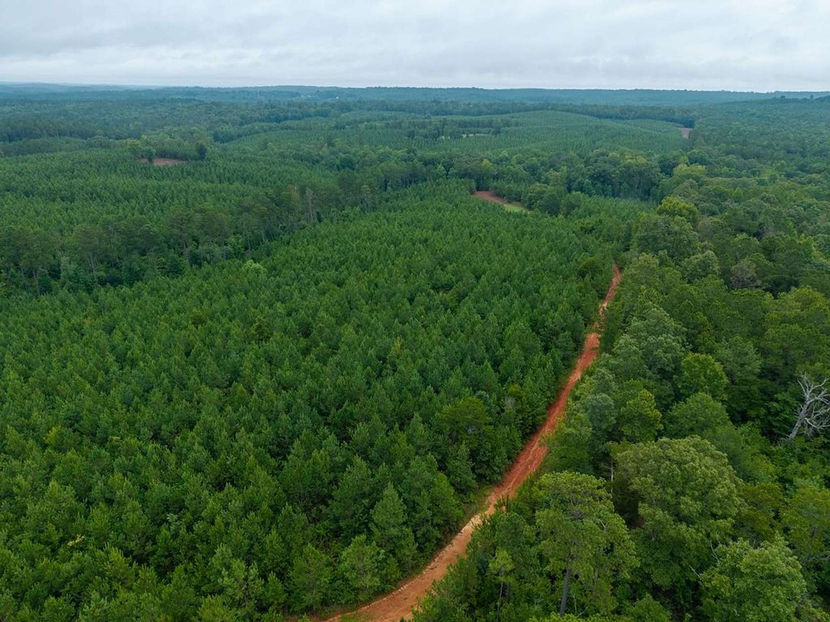 102 Acres of Recreational Land for Sale in Clanton, Alabama