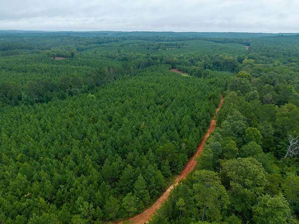 102 Acres of Recreational Land for Sale in Clanton, Alabama