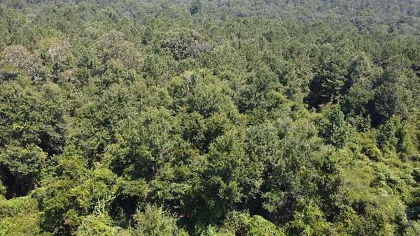 18 Acres of Land for Sale in Carriere, Mississippi