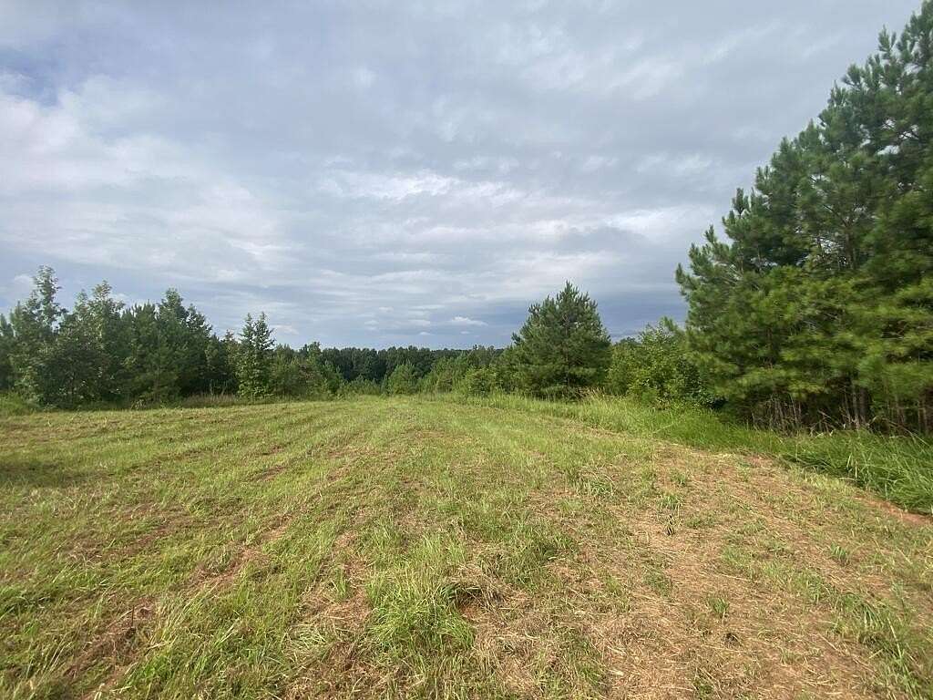 438 Acres of Land for Sale in Shiloh, Georgia