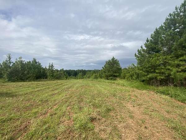 438 Acres of Land for Sale in Shiloh, Georgia
