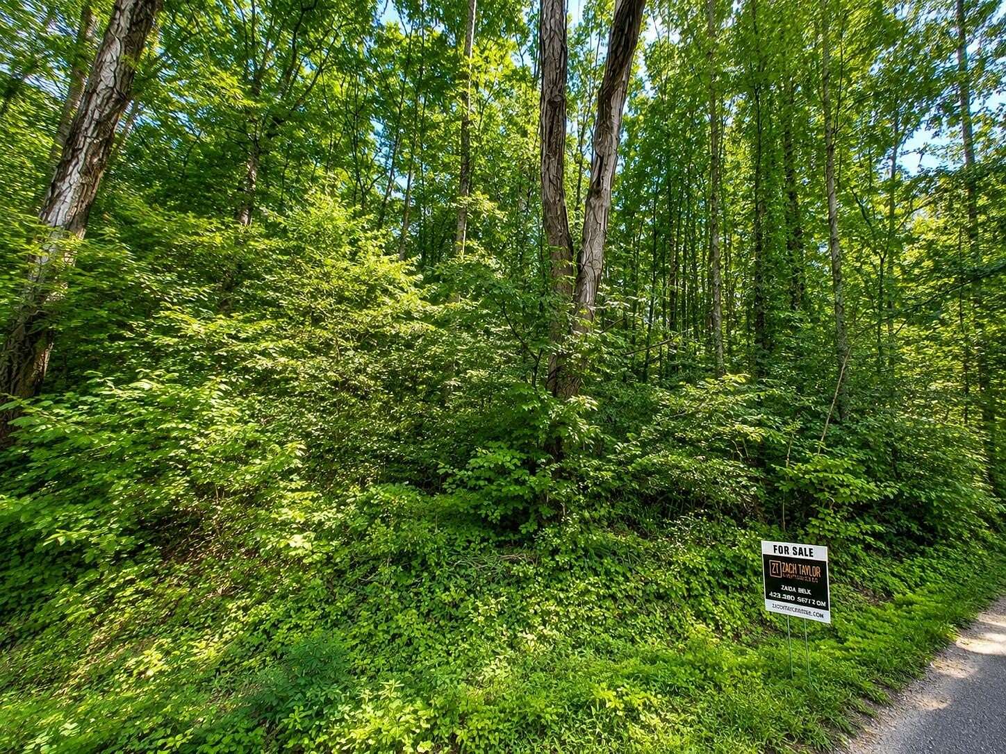 2.9 Acres of Residential Land for Sale in Rossville, Georgia