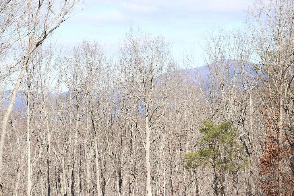 1.83 Acres of Residential Land for Sale in Ellijay, Georgia