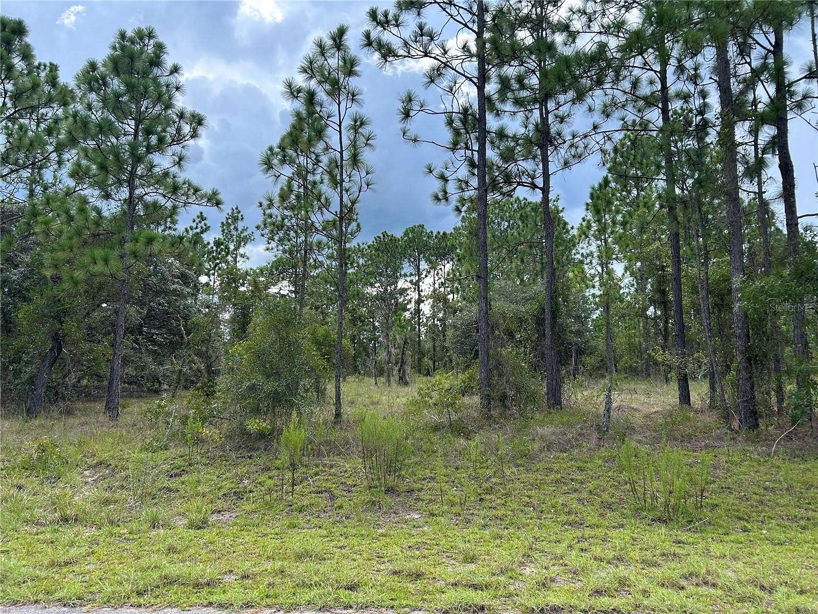 2 Acres of Residential Land for Sale in Dunnellon, Florida