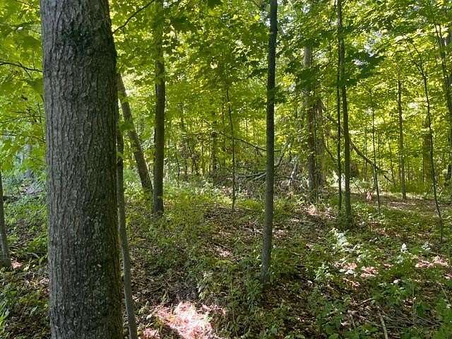 10 Acres of Land for Sale in Woodville, Wisconsin