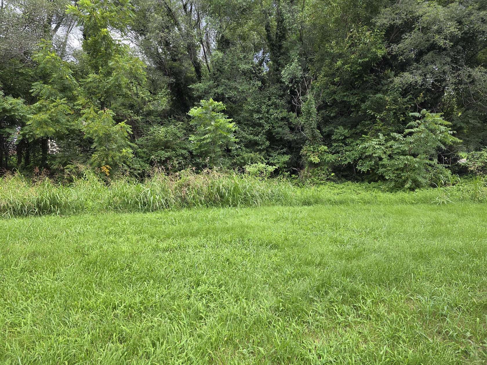 0.25 Acres of Land for Sale in Roanoke, Virginia