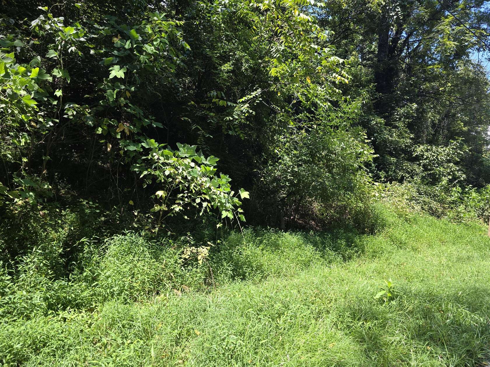 0.12 Acres of Residential Land for Sale in Roanoke, Virginia