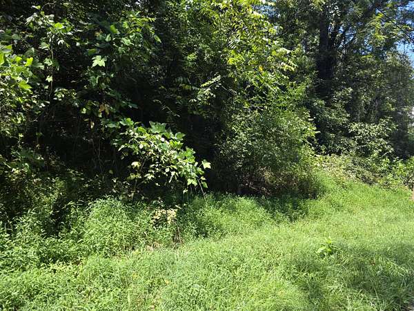 0.12 Acres of Residential Land for Sale in Roanoke, Virginia