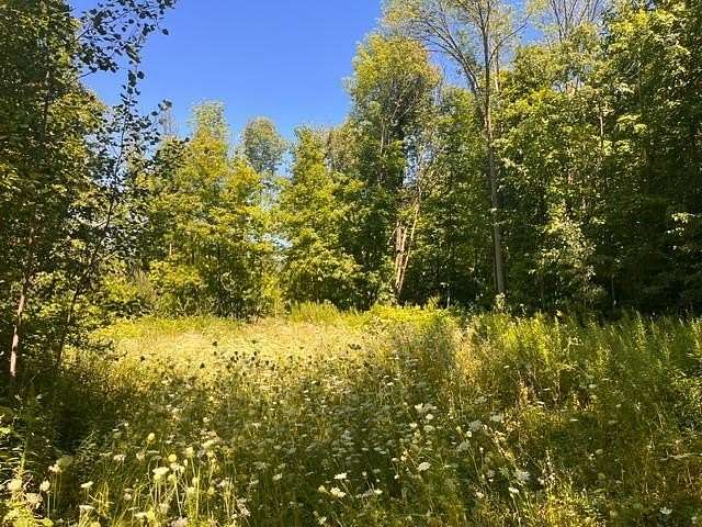 10 Acres of Land for Sale in Woodville, Wisconsin