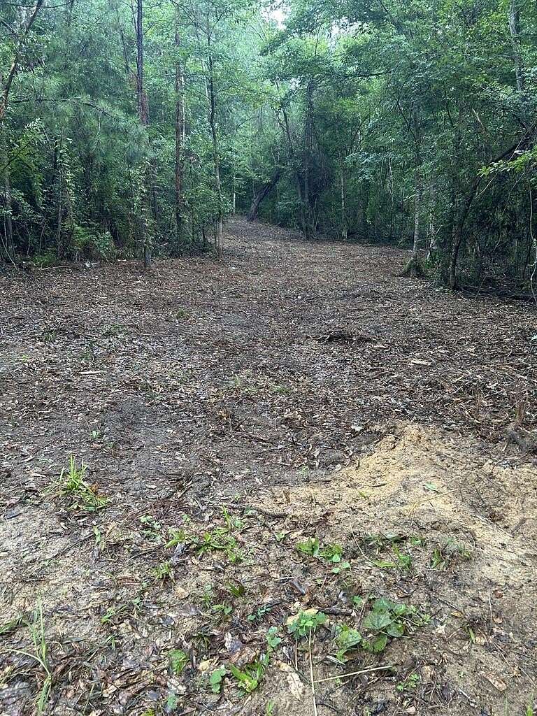 11 Acres of Recreational Land for Sale in Wiergate, Texas