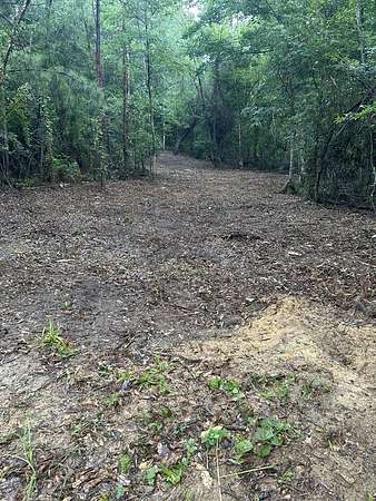 11 Acres of Recreational Land for Sale in Wiergate, Texas
