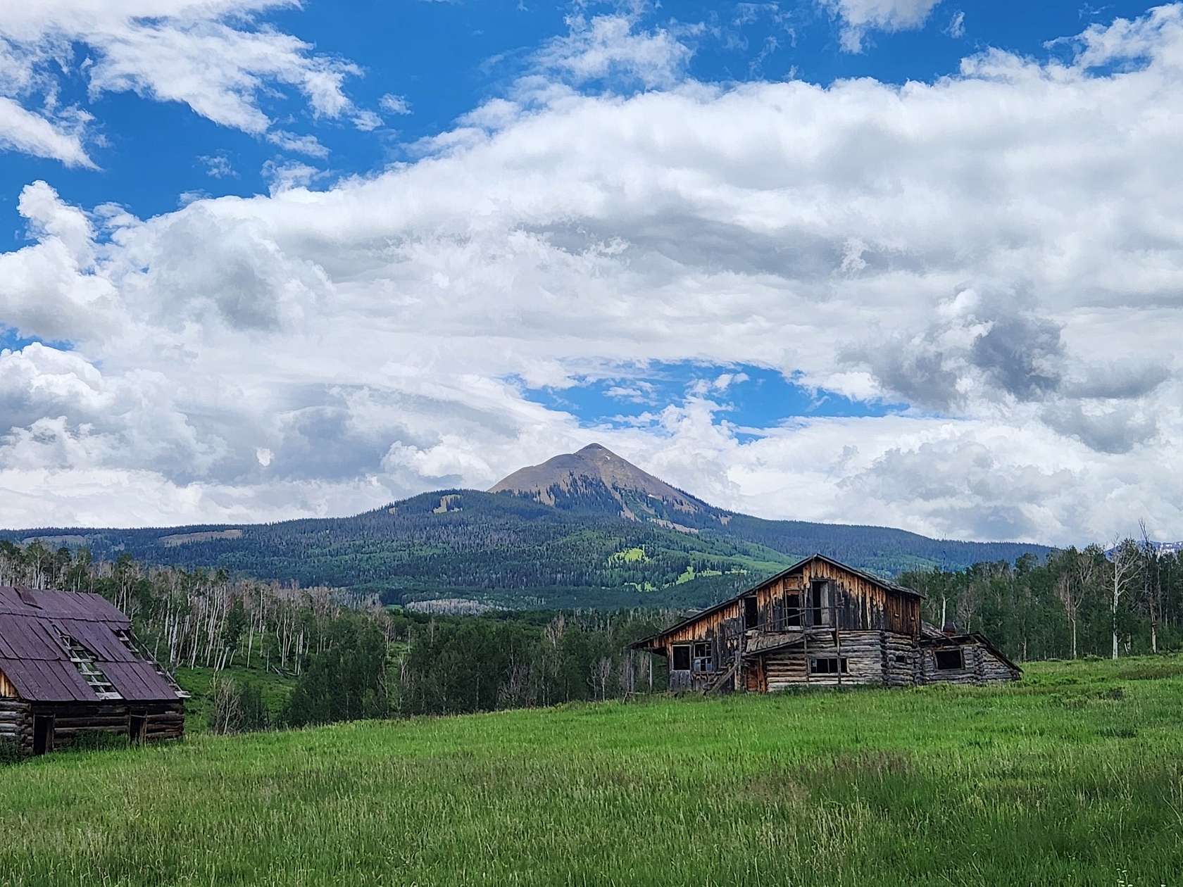56 Acres of Land for Sale in Placerville, Colorado