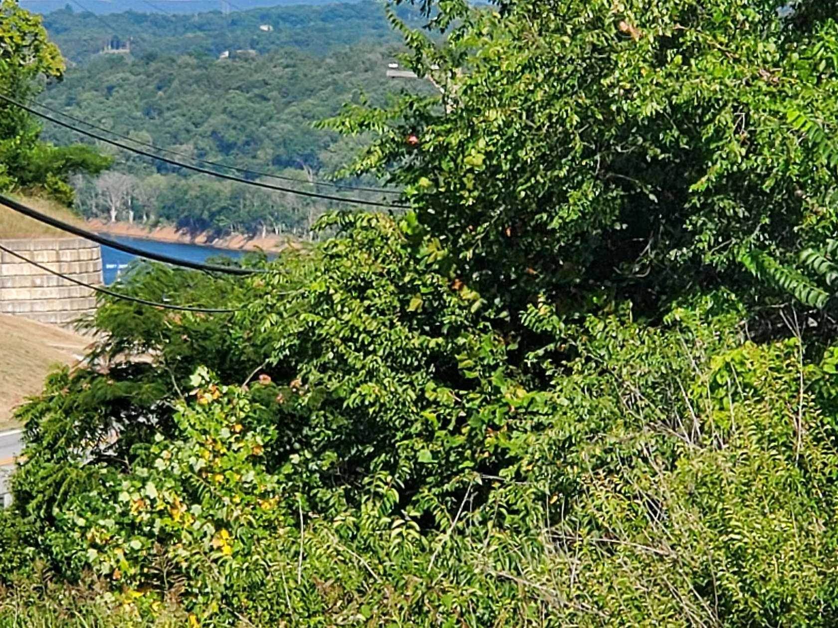 8 Acres of Commercial Land for Sale in Forsyth, Missouri