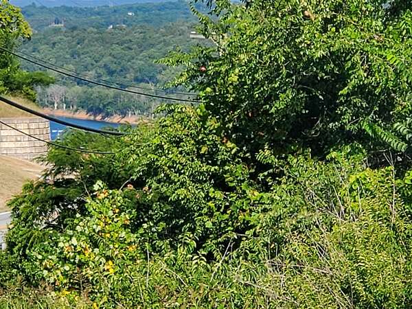 8 Acres of Commercial Land for Sale in Forsyth, Missouri